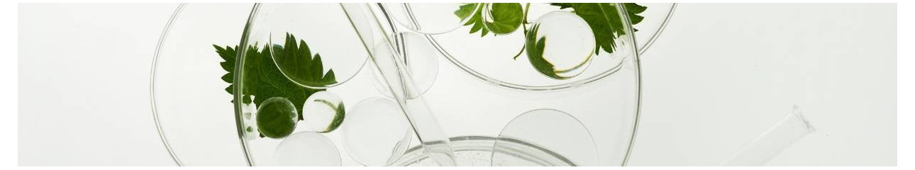 Soins visage, corps & maison