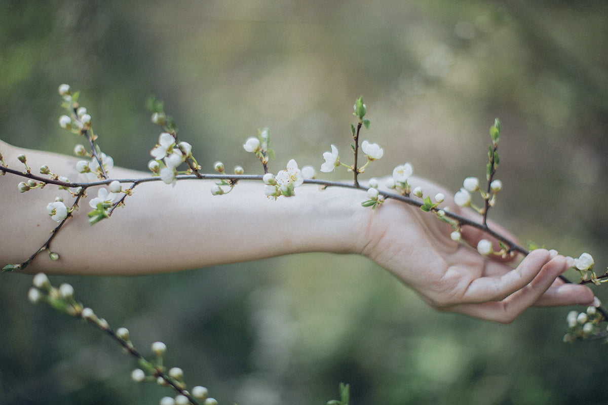 Flower Power : Tout savoir sur le pouvoir des fleurs