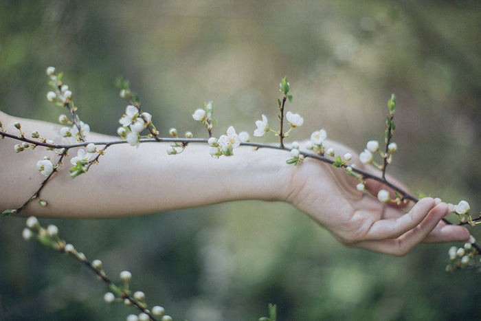 Flower Power : Tout savoir sur le pouvoir des fleurs