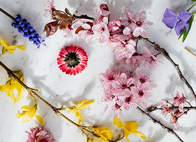 Détox de printemps : Le top 5 de nos ingrédients naturels pour une peau parfaite
